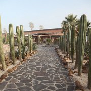 IMG 0001 2 (124)